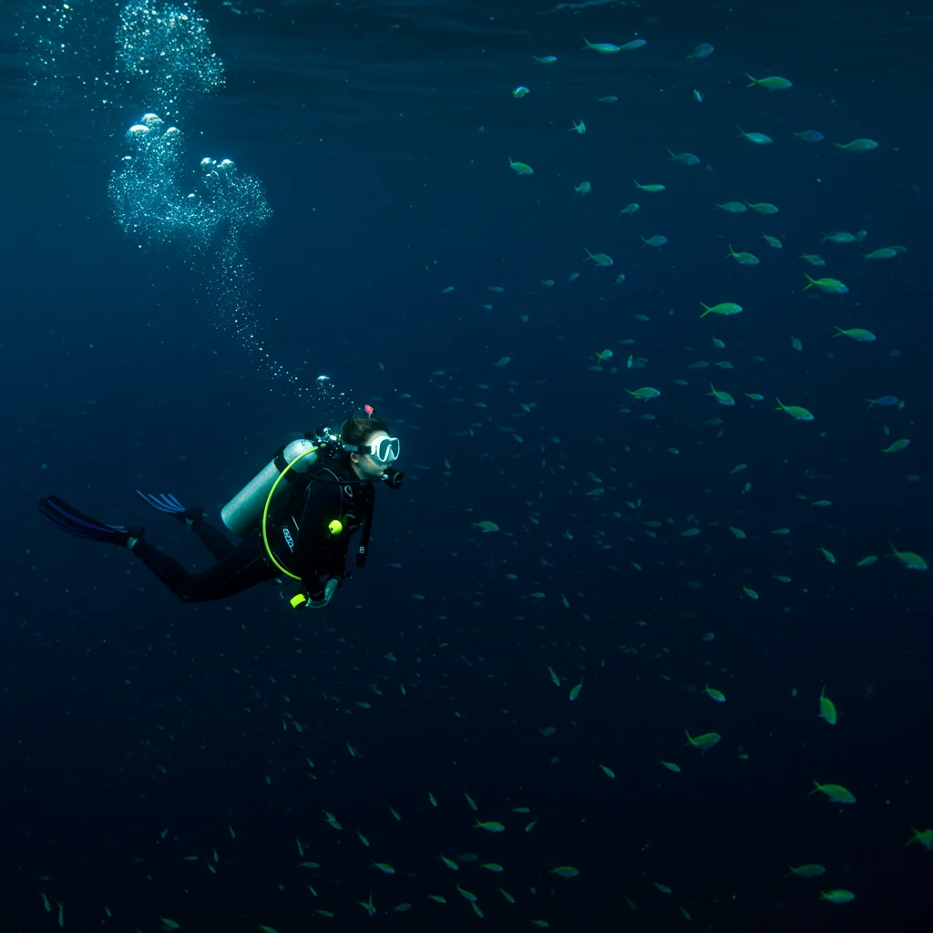 What Is Bioluminescence?
