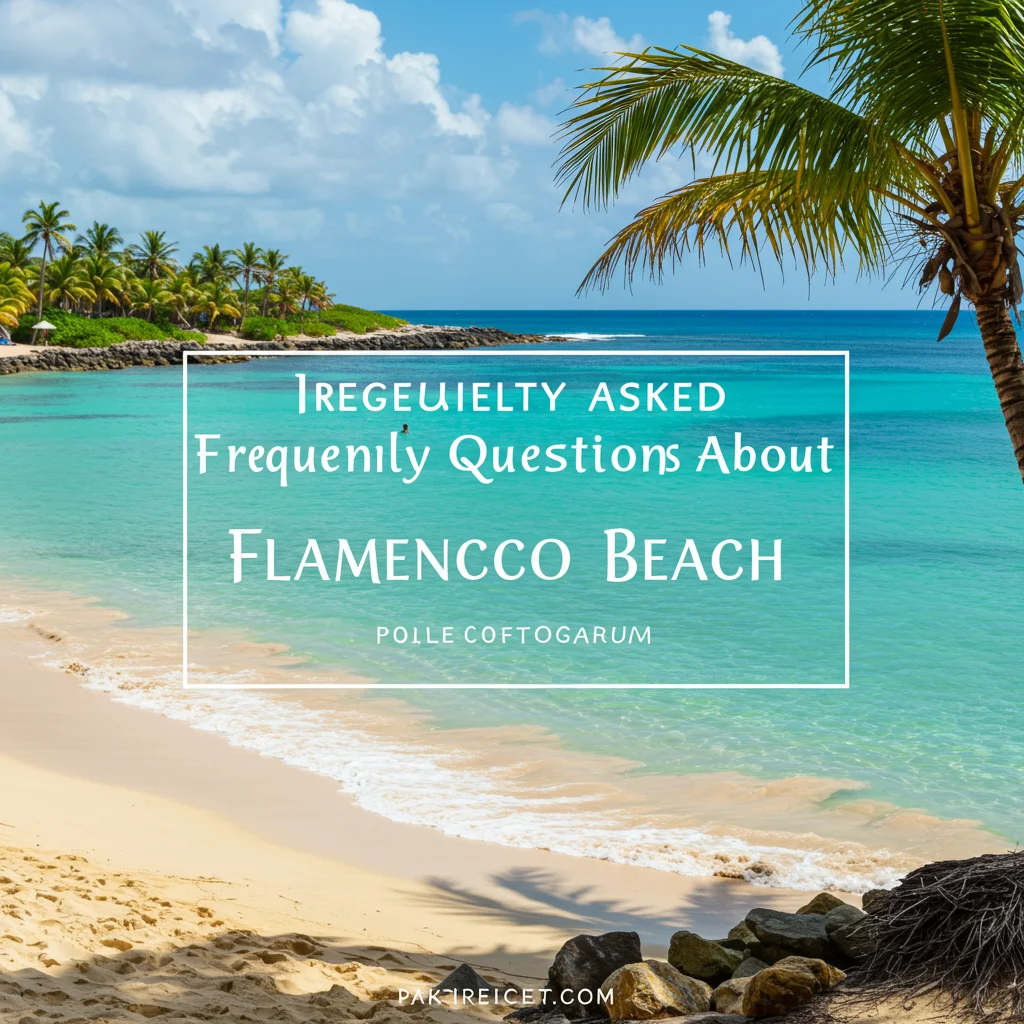 Frequently Asked Questions About Flamenco Beach