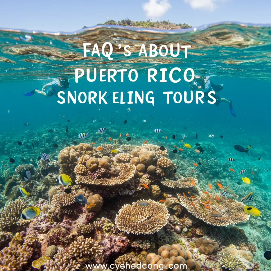 Frequently Asked Questions About Puerto Rico Snorkeling Tours